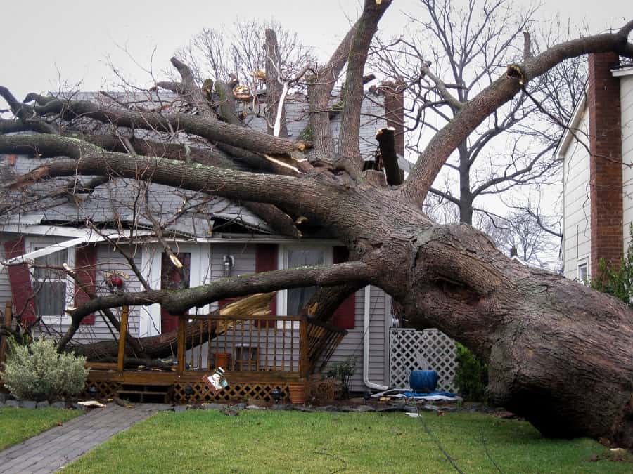 How to Navigate Property Insurance Claims After a Hurricane in Miami