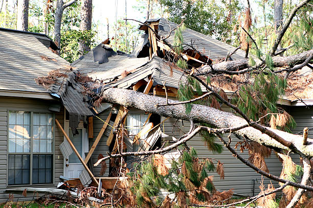 Hurricane Damage Claims: When to Hire a Lawyer