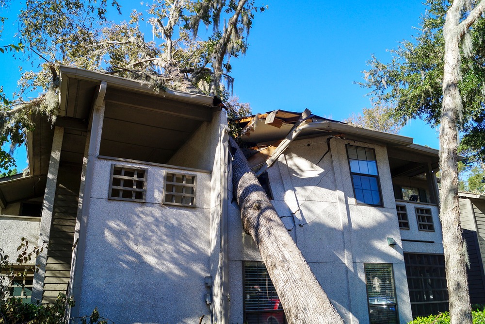 Top Causes of Property Damage in South Florida and How to File a Claim