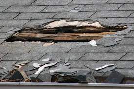 What to Do After Property Damage in Miami